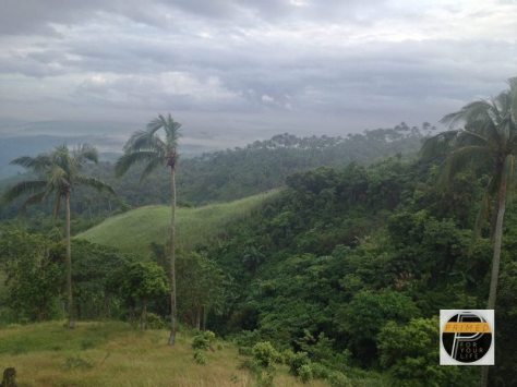 Cyrille's trail running experience1