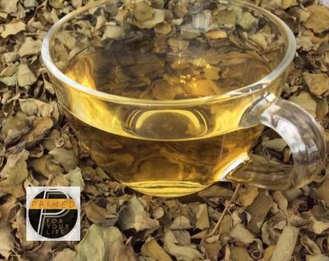 Malunggay Tea_Primed_for_your_life