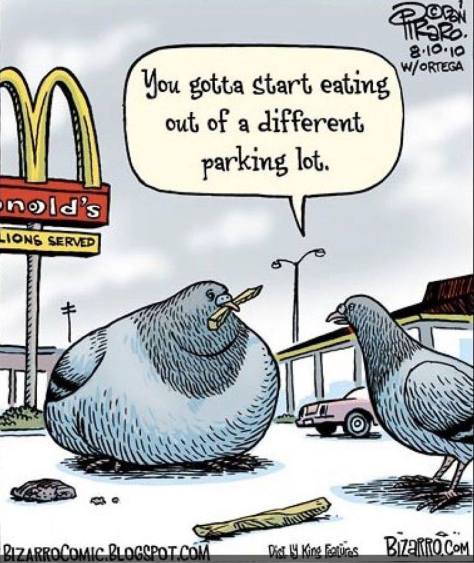 Over-fed and under-nourished9