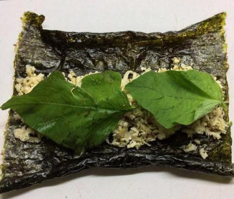 Sushi Primed_for_your_life3