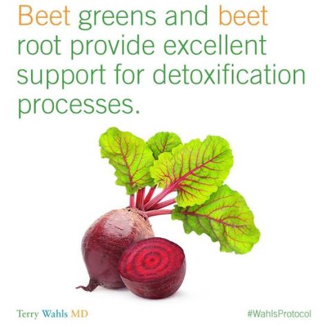 Dr. Terry Wahls2