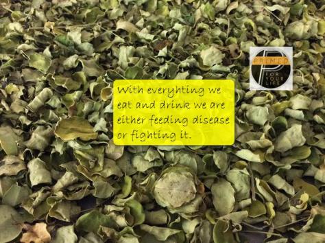 Malunggay tea is Primed1