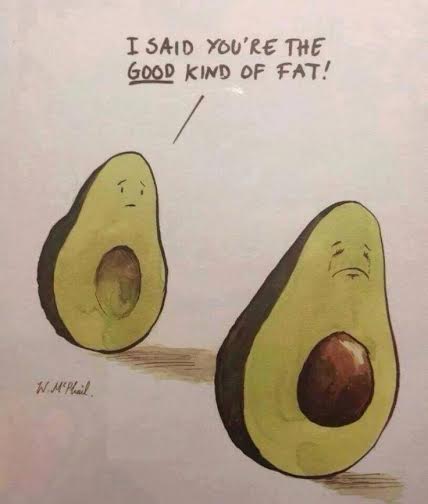 Avocado1