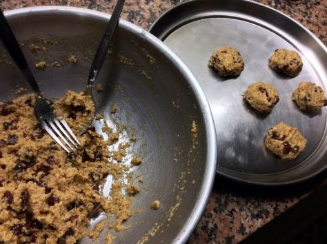 Primed Fruit & Nut Cookie Method