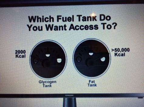 Fat Tank
