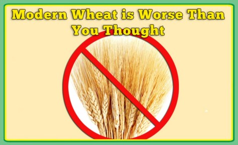 Wheat sucks