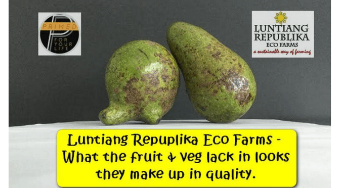 Amazing Colors of Luntiang Republika Eco Farms – A Sustainable Way of Farming