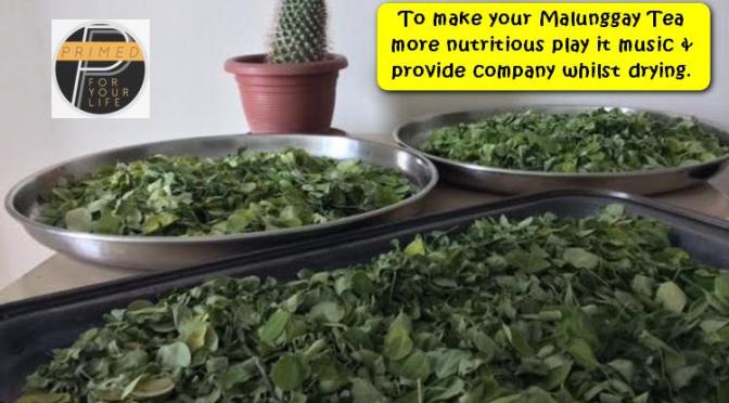 Useful Food Hint Number #2: Malunggay thrives with a “Friend” & Music