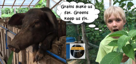 Mt Labo E and D Corp Cooking19