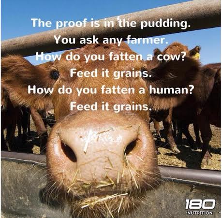 Assemble Primed Dishes49