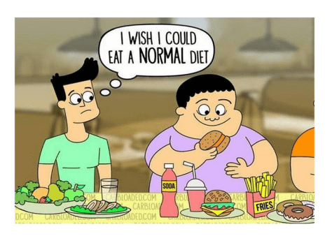 Normal Diet1