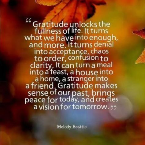 Gratitude quote