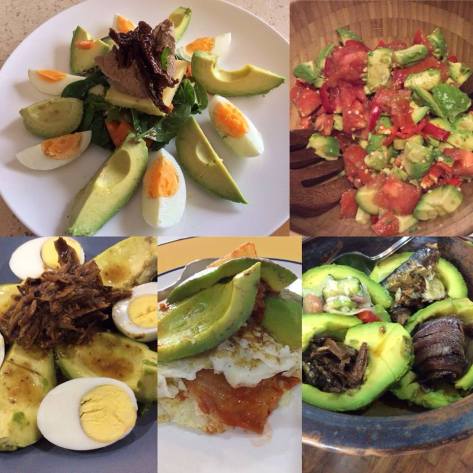 Optimal Primed Protocols avocado