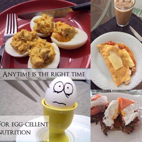 Optimal Primed Protocols eggs