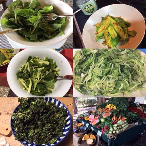 Optimal Primed Protocols green veg