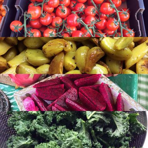 Optimal Primed Protocols real food