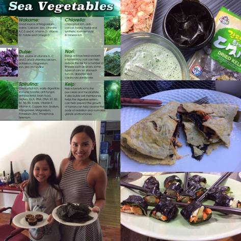 Optimal Primed Protocols seaweed