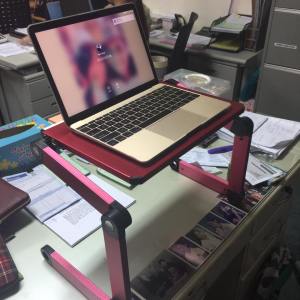 Dane and Maiko Stand updesk