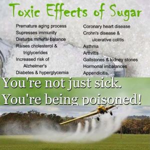 grains-are-poisoned-sugar