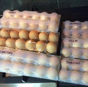 eggs-monday-to-saturday