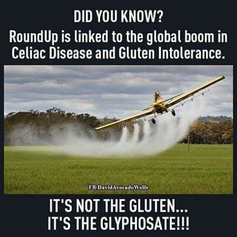glyphosate