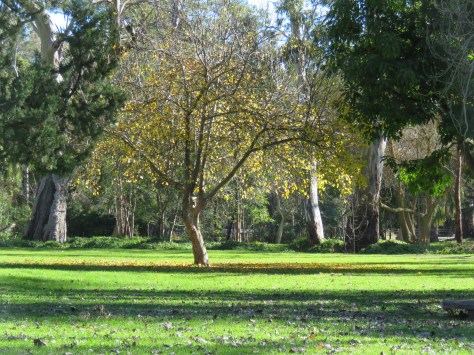 Belair National Park15