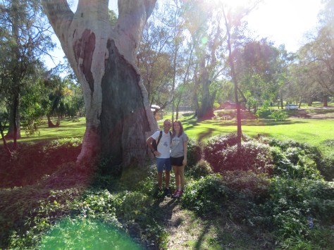 Belair National Park3