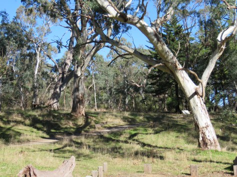 Belair National Park4