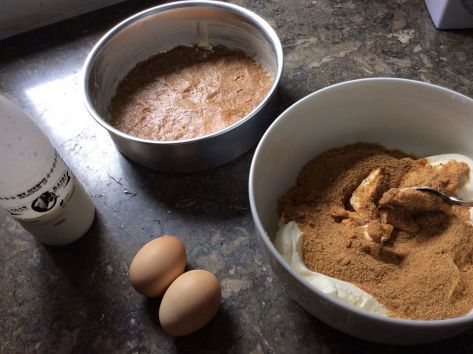 Ferdies Primed NY Style Cheesecake 8