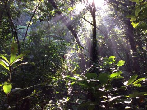 Haribon Foundation15