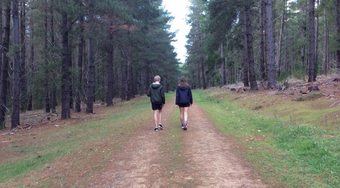 Kuitpo Forest in South Australia ROCKS