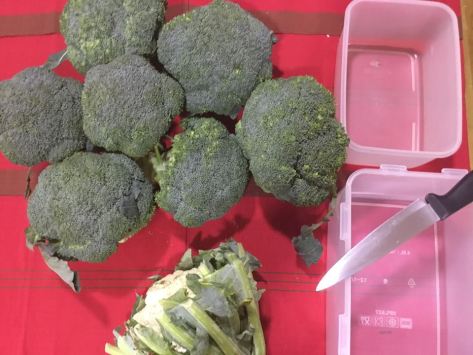Broccoli storage