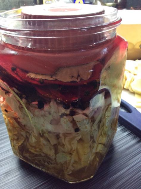 Cabbage Cups fermented