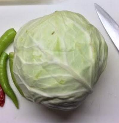 Cabbage