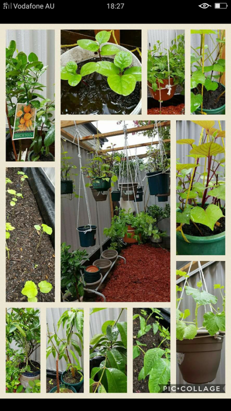 Jane and John Garden