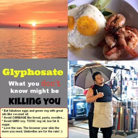 Rodriguez sisters fi