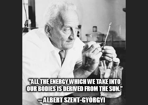 The Primed Life – Supercharge your energy – 20 Great podcasts and books from which to learn, grow and enjoy.